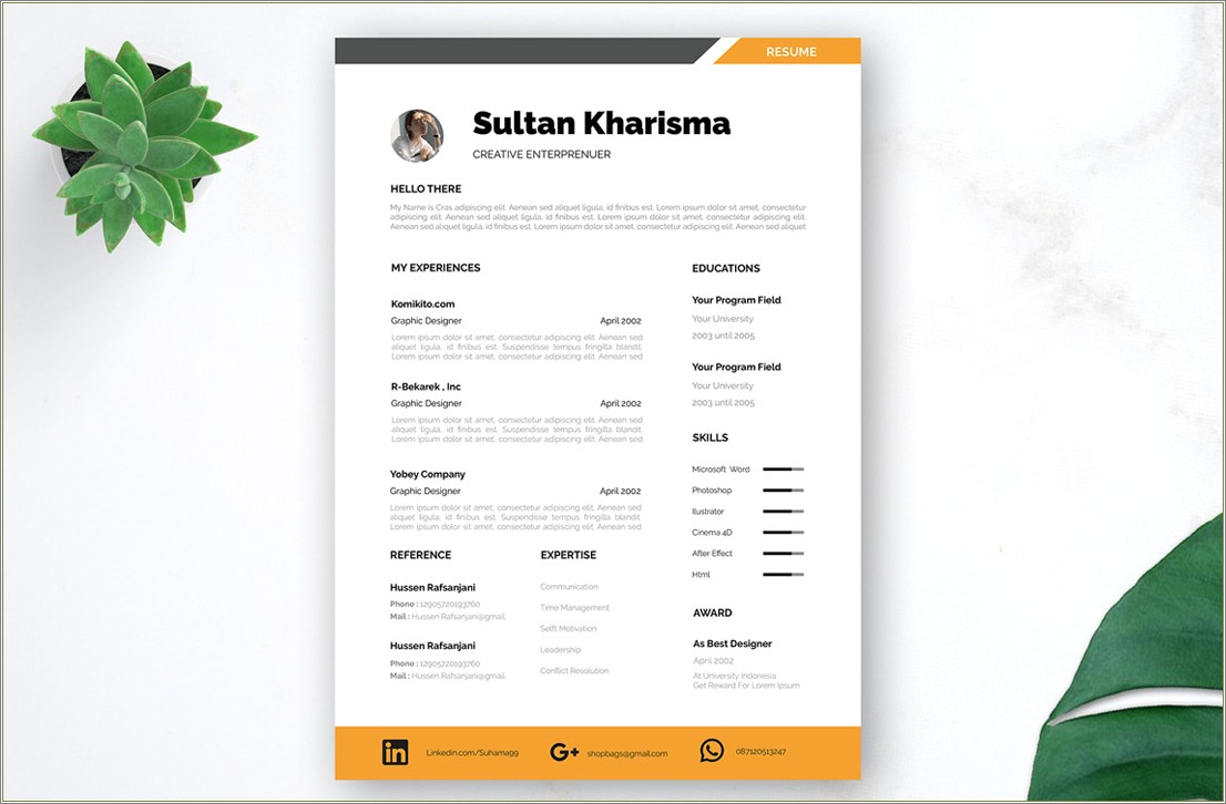 2 Page Resume Template Word Free