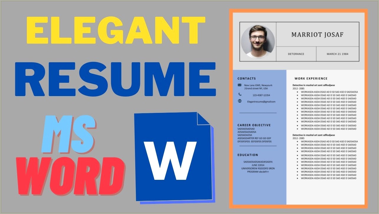 Elegant Resume Template Microsoft Word Free