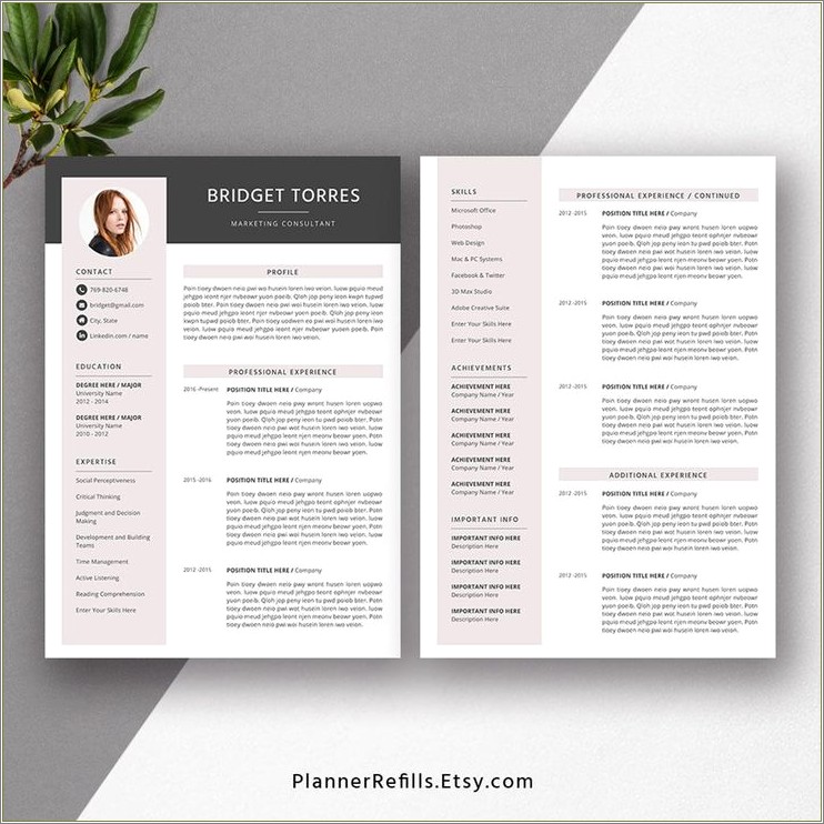Microsoft Word 2016 Resume Templates With Picture