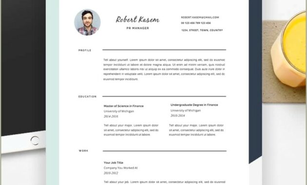 Free Cv And Resume Templates