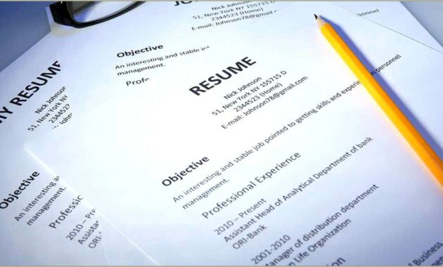 Free Resume Format For Freshers