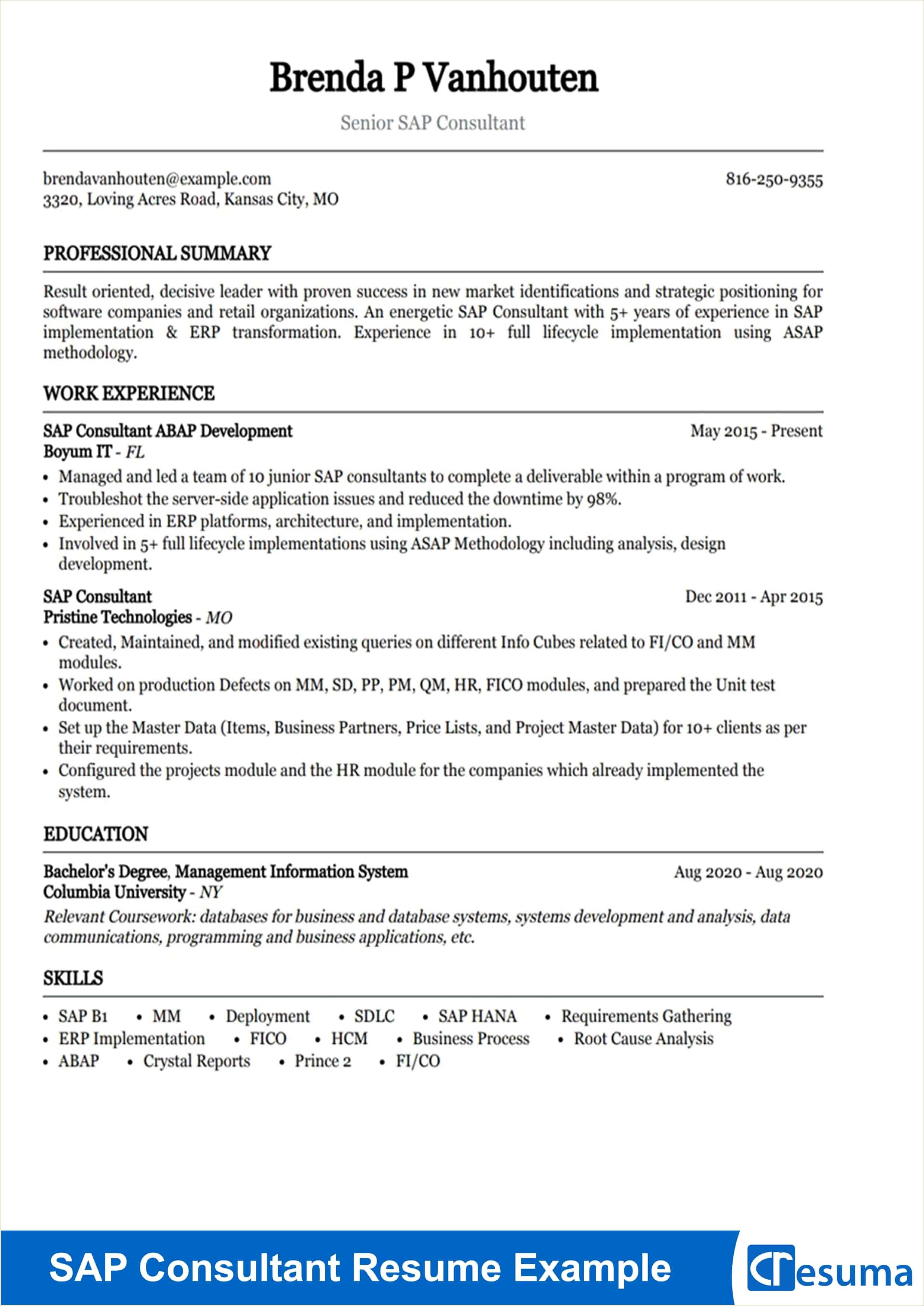 Sap Sd Consultant 2 Years Experience Resume